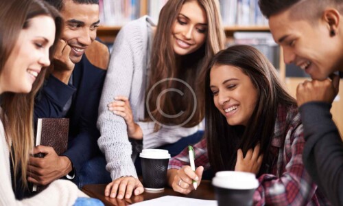Language Trainings